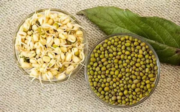 Пророщенный маш как употреблять