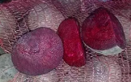 Сорт свеклы для борща