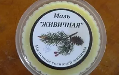 Мазь из живицы в домашних условиях