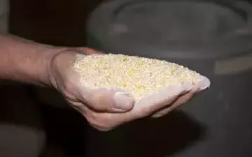 Сыворотка для кур несушек