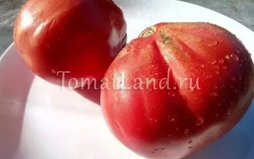 Томат best bestos описание
