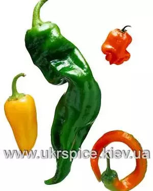 Анис на что похож вкус