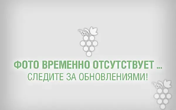 Виноград худой описание сорта фото отзывы