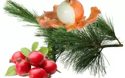 Отвар сосновых иголок и луковой шелухи
