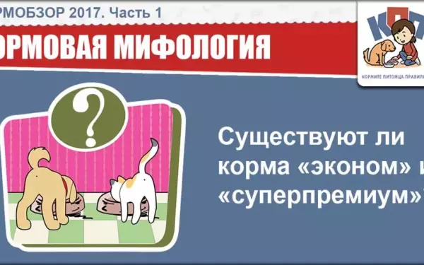 Брит или роял канин для собак