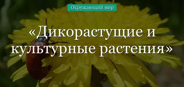 Редкие дикорастущие растения названия 2 класс