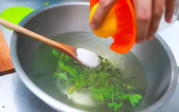 Как заварить мятный чай из сухой мяты