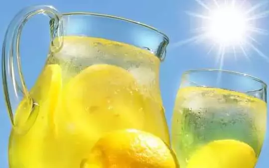Можно ли заменить яблочный уксус на столовый