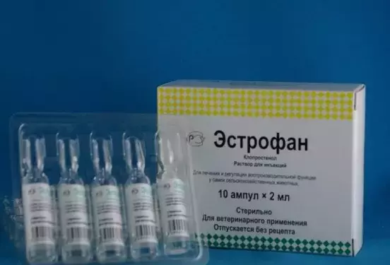 Как сбить охоту у свиньи