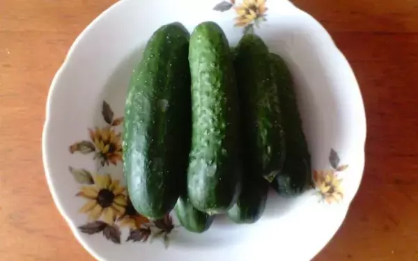 Мой любимый овощ огурец рассказ