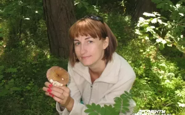 Грибы калач на дону