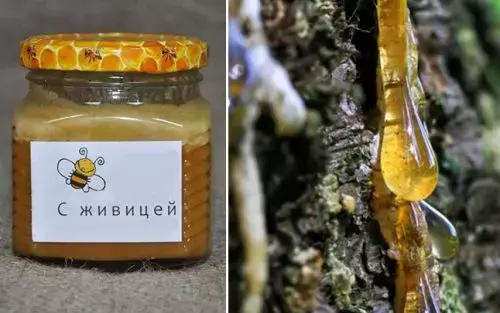 Мед с живицей как проверить на подлинность