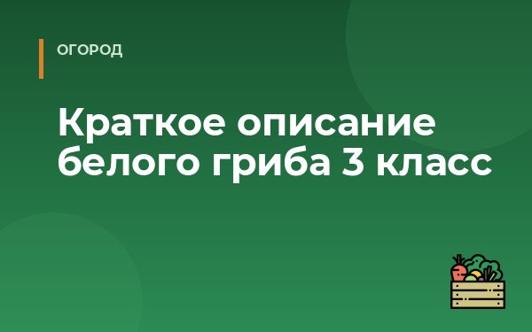Краткое описание белого гриба 3 класс