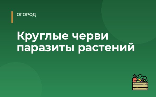 Круглые черви паразиты растений