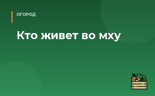 Кто живет во мху