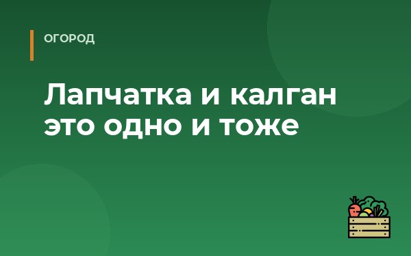 Лапчатка и калган это одно и тоже