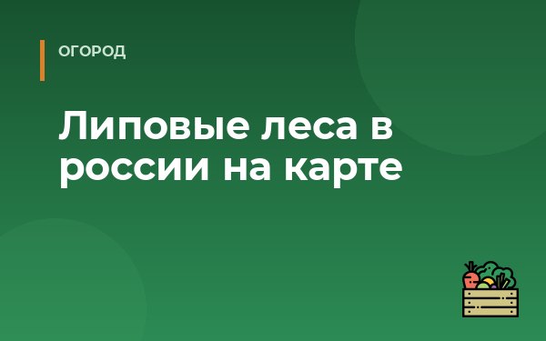 Липовые леса в россии на карте