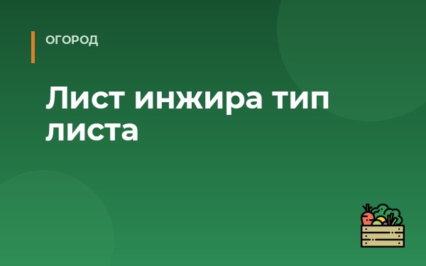 Лист инжира тип листа