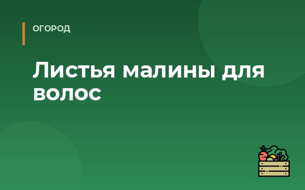 Листья малины для волос