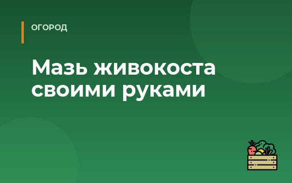 Мазь живокоста своими руками