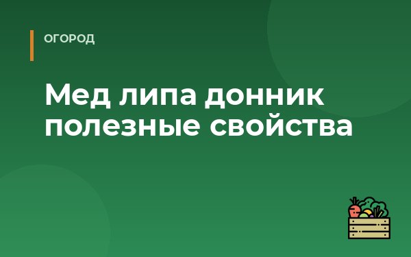 Мед липа донник полезные свойства