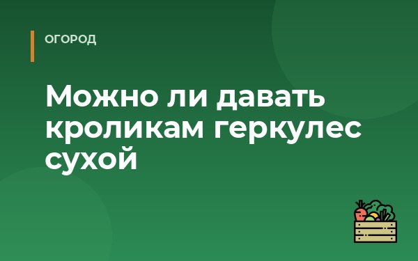 Можно ли давать кроликам геркулес сухой
