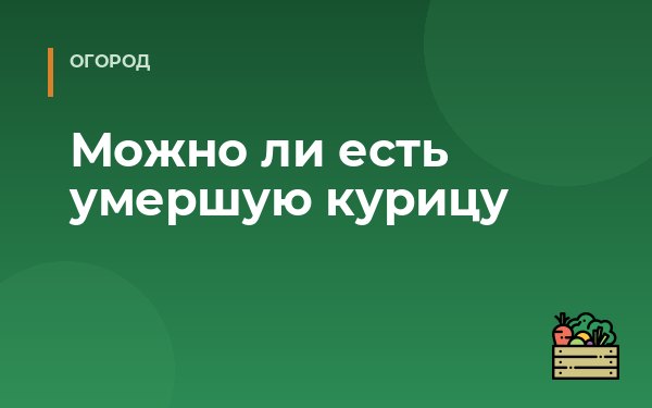 Можно ли есть умершую курицу