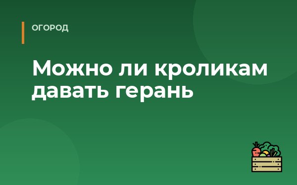 Можно ли кроликам давать герань