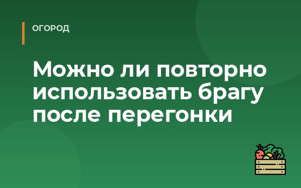 Можно ли повторно использовать брагу после перегонки