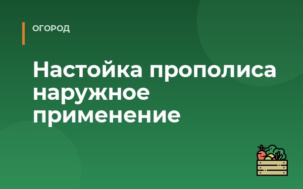 Настойка прополиса наружное применение