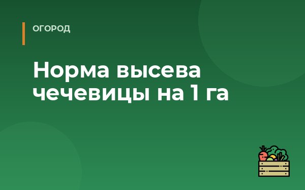 Норма высева чечевицы на 1 га