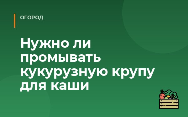 Нужно ли промывать кукурузную крупу для каши