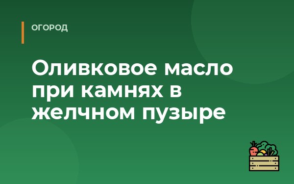 Оливковое масло при камнях в желчном пузыре