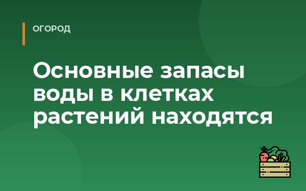 Основные запасы воды в клетках растений находятся