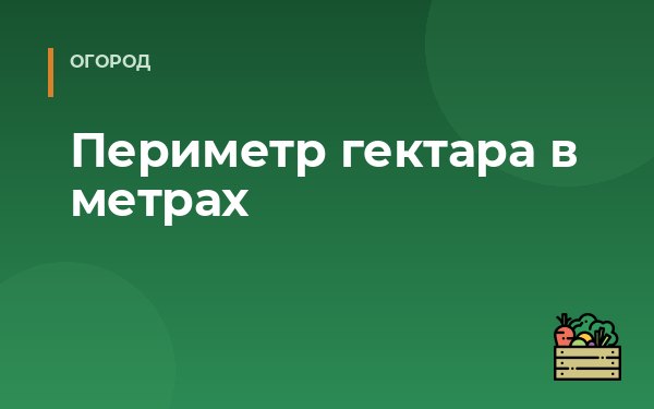 Периметр гектара в метрах