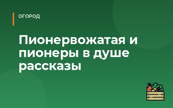 Пионервожатая и пионеры в душе рассказы