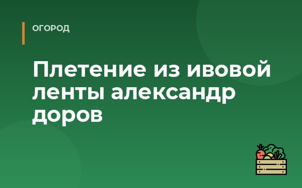 Плетение из ивовой ленты александр доров