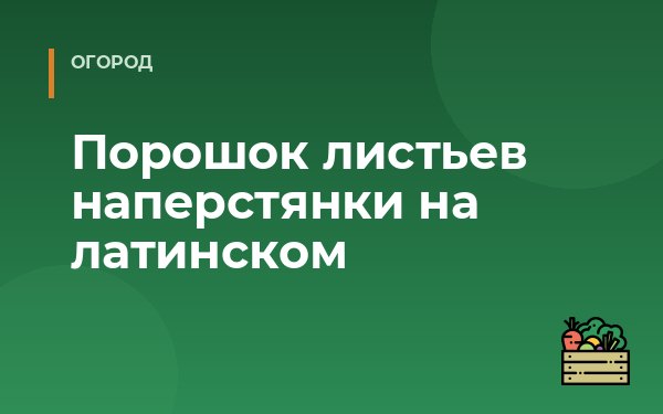 Порошок листьев наперстянки на латинском