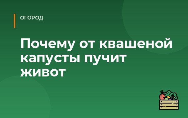 Почему от квашеной капусты пучит живот