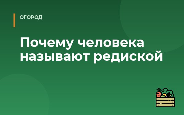 Почему человека называют редиской