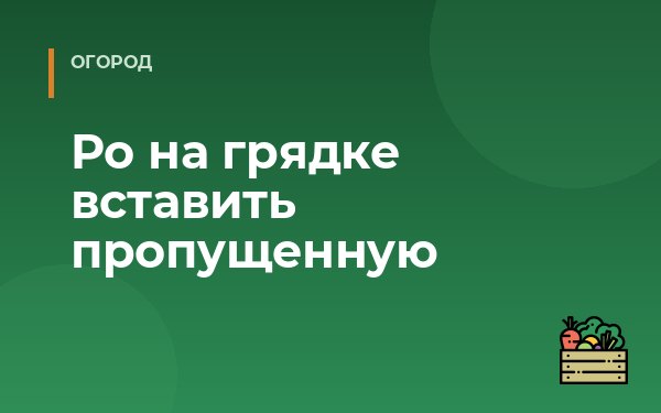 Ро на грядке вставить пропущенную