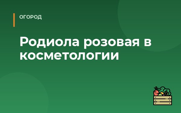 Родиола розовая в косметологии