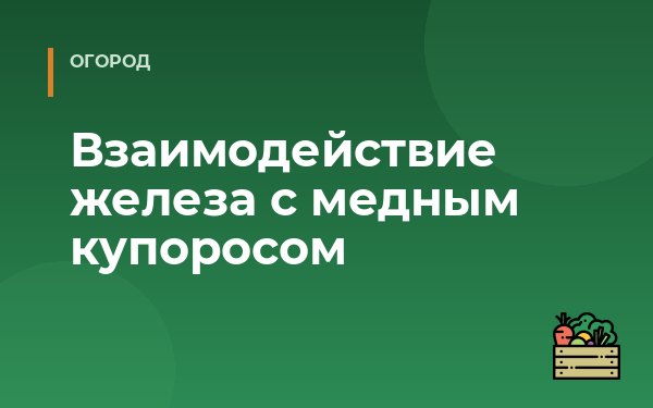 Взаимодействие железа с медным купоросом