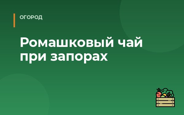 Ромашковый чай при запорах