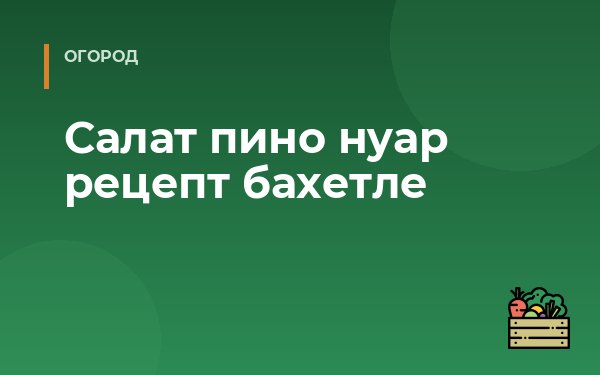 Салат пино нуар рецепт бахетле