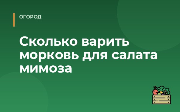 Сколько варить морковь для салата мимоза