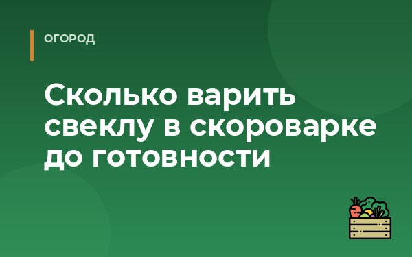 Сколько варить свеклу в скороварке до готовности