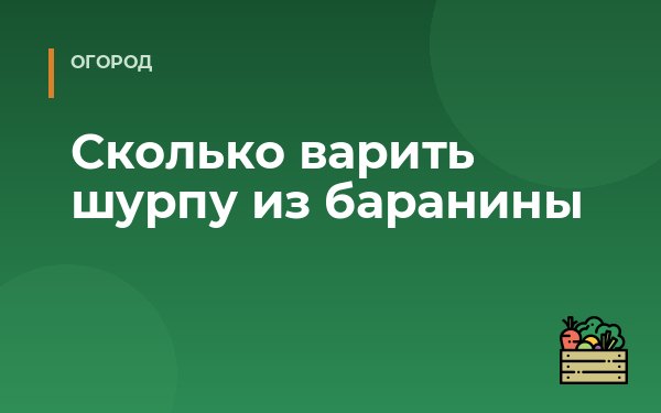 Сколько варить шурпу из баранины