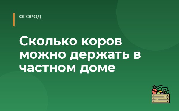 Сколько коров можно держать в частном доме