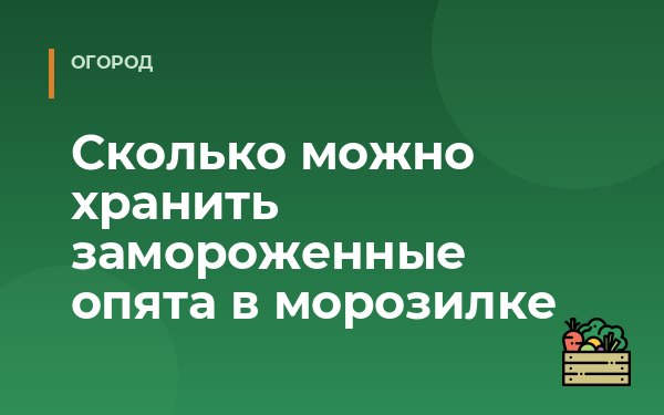 Сколько можно хранить замороженные опята в морозилке